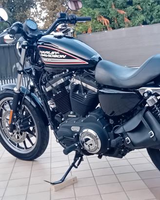 harley davidson xl 883 R