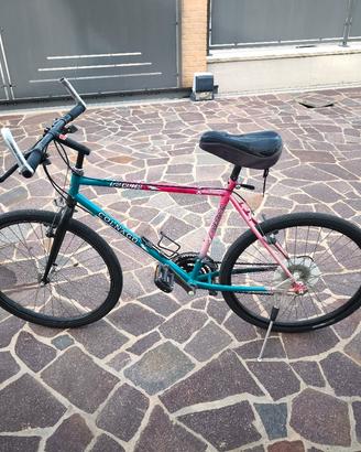 bicicletta Colnago