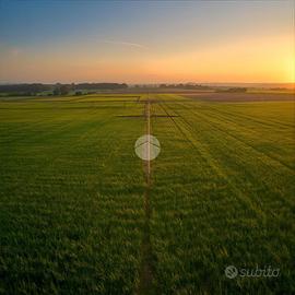 TER. AGRICOLO A COVO