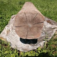 Antiche travi in rovere e castagno 