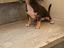 Immagine 2