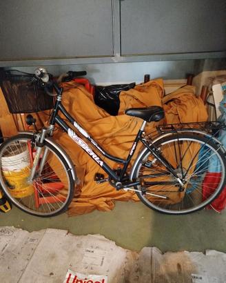 Bicicletta donna