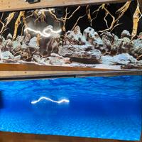 Sfondo/poster acquario-terrario 99x38