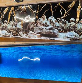 Sfondo/poster acquario-terrario 99x38