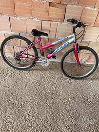 Bicicletta Diamond MTB Rosa/Argento