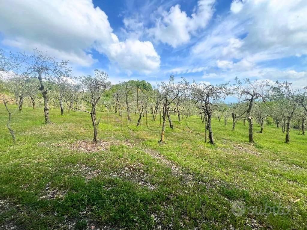 Terreno di 2000 m² a Pieve Santo Stefano - Vista 2