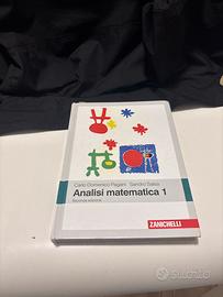 Analisi Matematica 1 Pagani Salsa