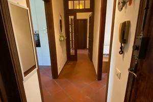 Camera singola per STUDENTESSA