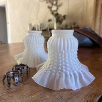 Coppia di vetri vintage per lampada