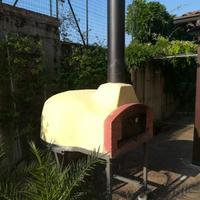 Forno a legna professionale