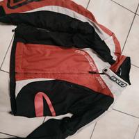 Giubino moto 