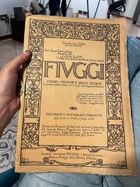 Antico libro monografia Acqua Fiuggi anni ‘30