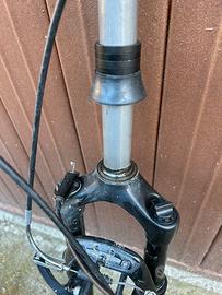 Forcella e manubrio