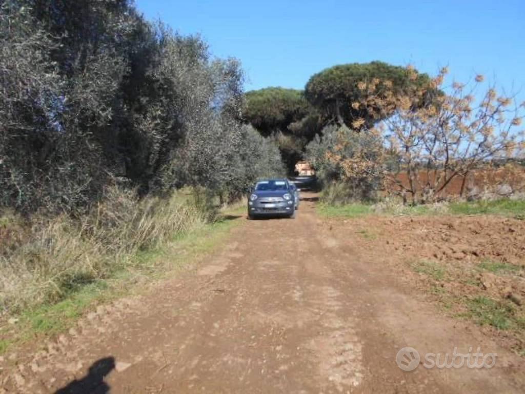 Immobile in asta di 129210 m² a Latina - Vista 3