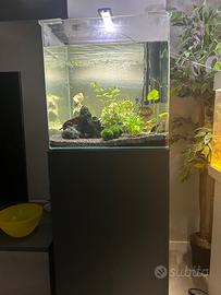 Acquario amtra 90 litri