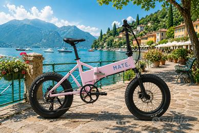 MATE FATBIKE 48V