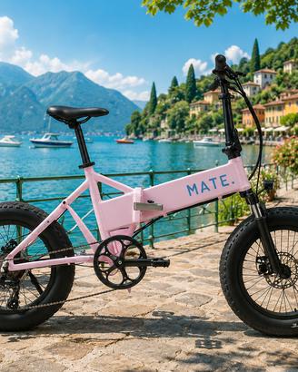 MATE FATBIKE 48V