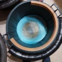 Palamiti di vari tipi, saraghi, dentici, mormore