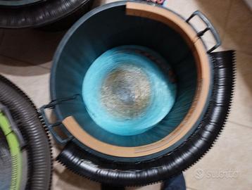 Palamiti di vari tipi, saraghi, dentici, mormore