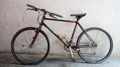 Bici assemblata con telaio colnago