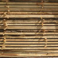 Tavole in legno di castagno massello stagionato 