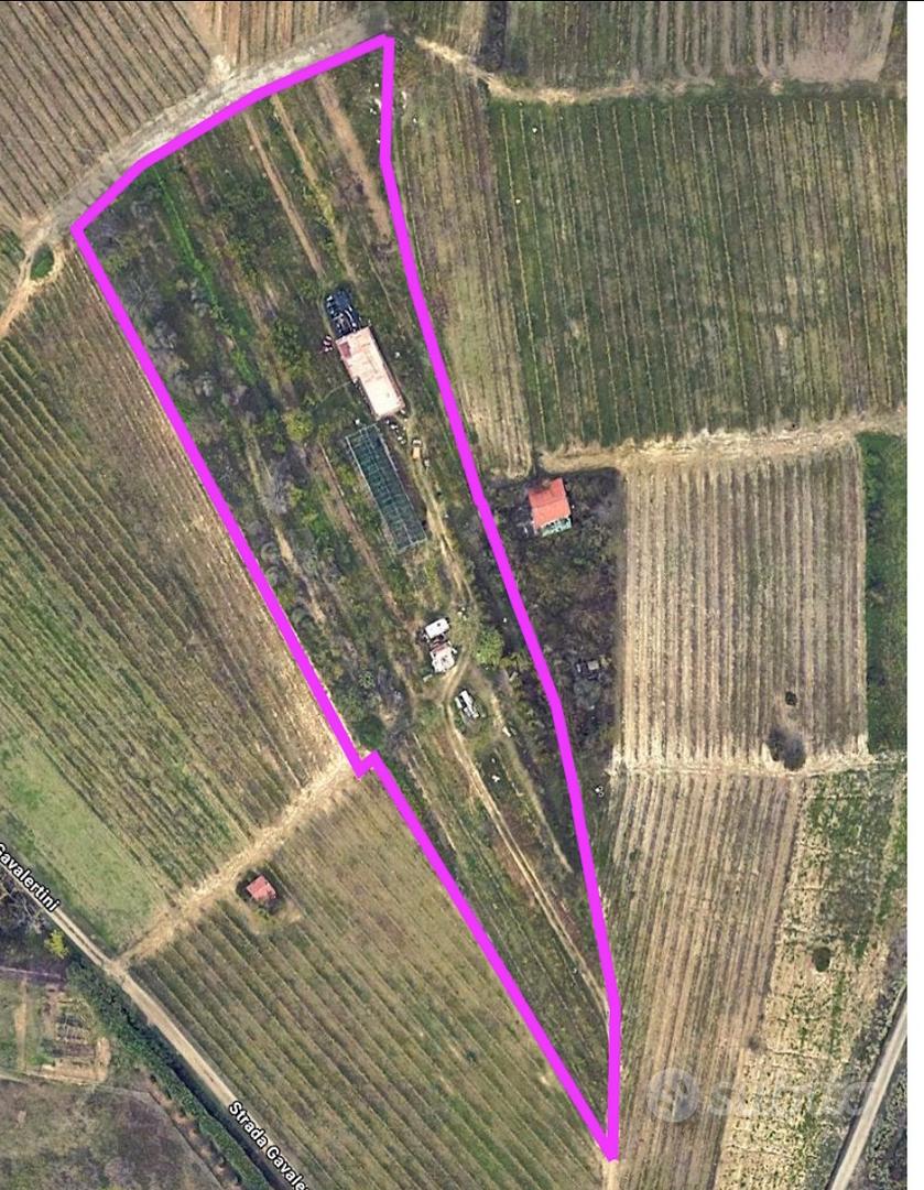 Due terreni agricoli a Castelnuovo Don Bosco (AT) - Altro