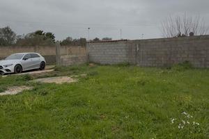 Terreno agricolo