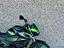 Immagine 10