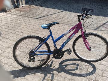 Mountain Bike Frejus 24"