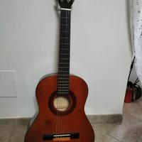 Chitarra Eko