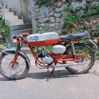 Stesino Benelli sport