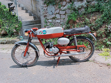 Stesino Benelli sport