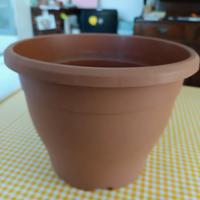 Vaso in plastica a forma scampanata  Holland