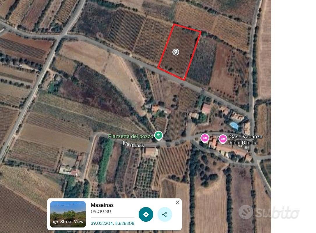 Vigneto Carignano del sulcis - Vista 2