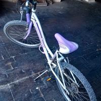 bicicletta
