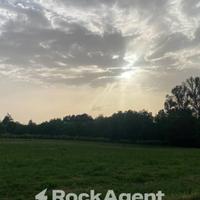 SALA BAGANZA (PR) -TERRENO AGRICOLO (3 ETTARI)