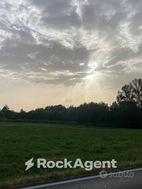 SALA BAGANZA (PR) -TERRENO AGRICOLO (3 ETTARI)