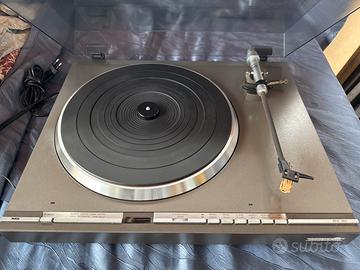 Piatto Phanta RPH 360