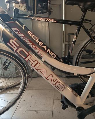 Biciclette Schiano