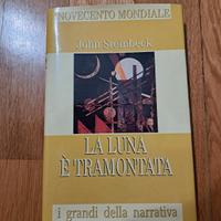 COLLINA DI LIBRI "900 MONDIALE"