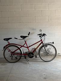 Bicicletta tandem rossa 🚲