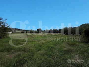 Terreno Agricolo Alvignano [Cod. rif 3331986VCG]