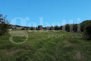 Terreno Agricolo Alvignano [Cod. rif 3331986VCG]