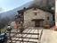 Immagine 7