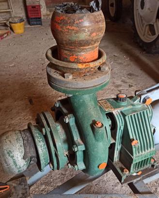 Pompa per irrigazione Caprari MEC D2 /80