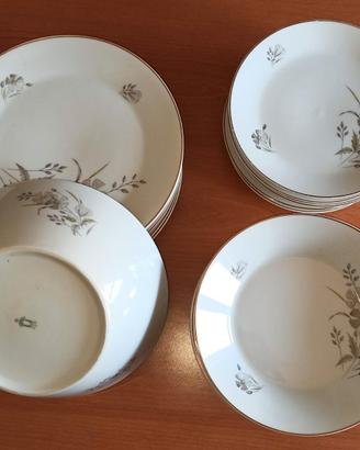 servizio piatti 19 pezzi Vintage SCHONWALD