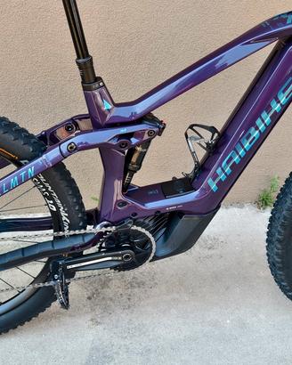 Haibike Allmtn Cf11