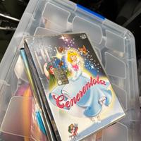 Dvd cartoni animati