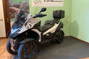 Quadro QOODER STEINBOCK