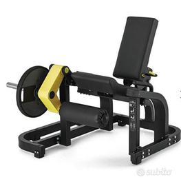 palestra professionale leg press, curl ext